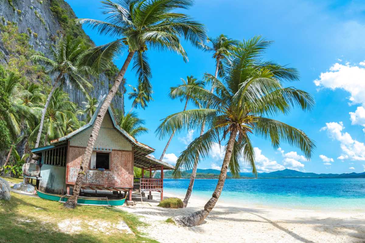 A Guide to Climate-Aware Travel Insurance